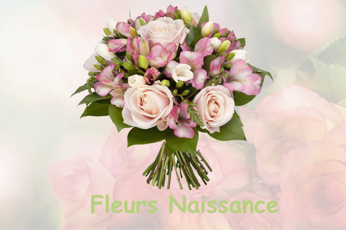 fleurs naissance LACOUR-D-ARCENAY